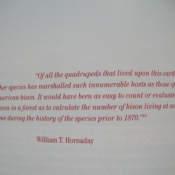 Buffalo: Sacred and Sacrificed (Non Fiction) - Picture 3 of 6